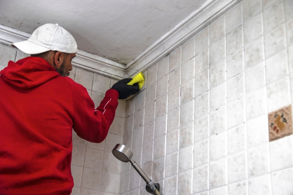 Technician wearing cleaning gear performing disinfection service