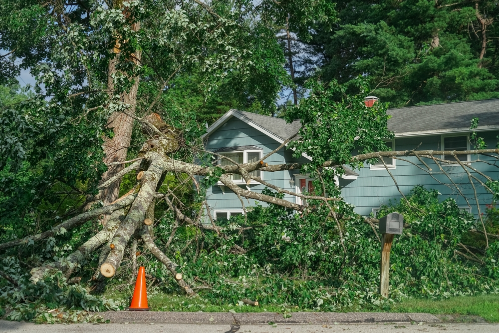 Storm damage with fallen tree branch in residential neighborhood