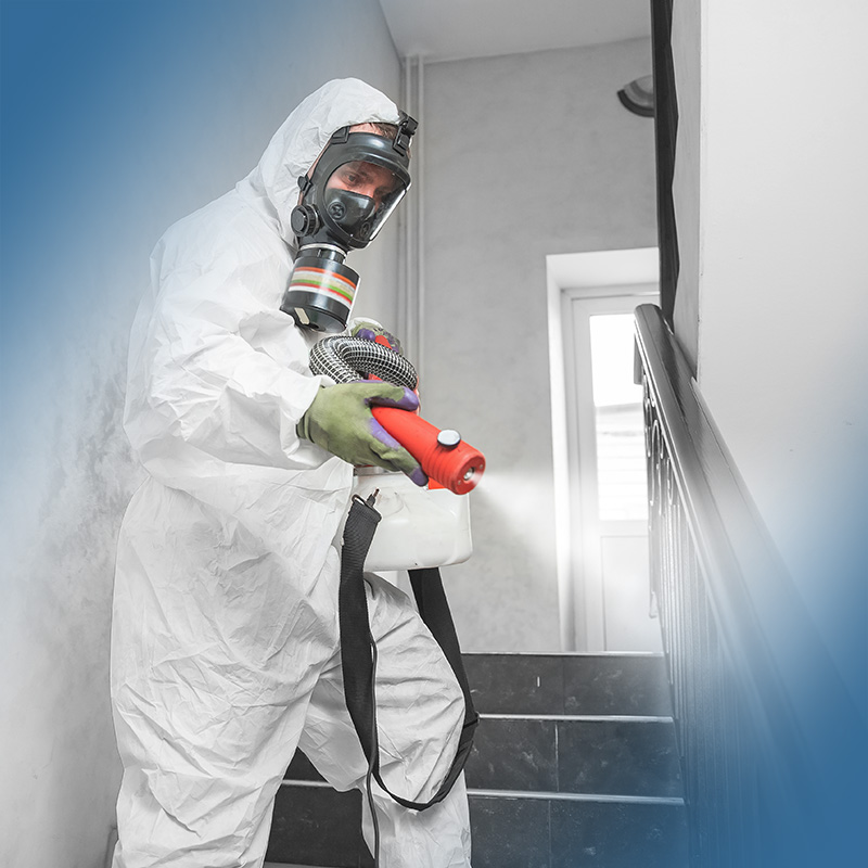 Professional disinfection and sanitization cleaning service