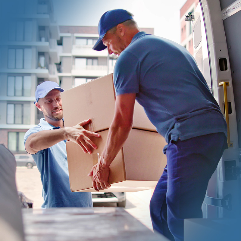 Professional pack out and content storage service