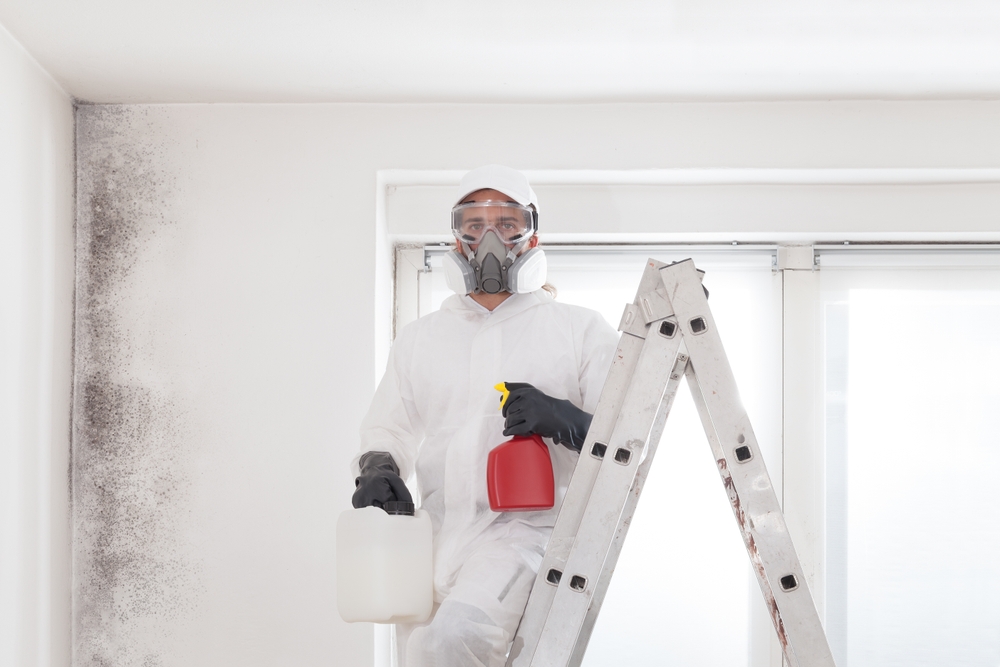 Technician in protective suit performing professional mold removal